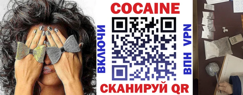 Cocaine Fish Scale  Купить закладки  Зуевка 