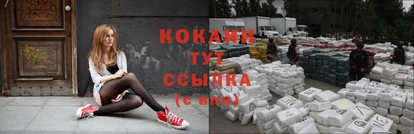 гидропоника Гусиноозёрск