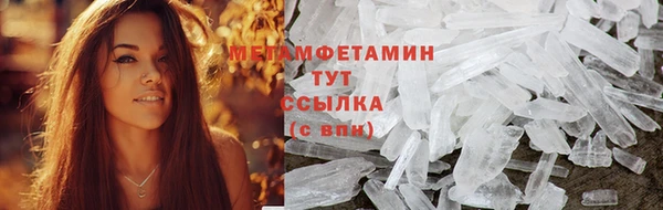 хмурый Гусь-Хрустальный