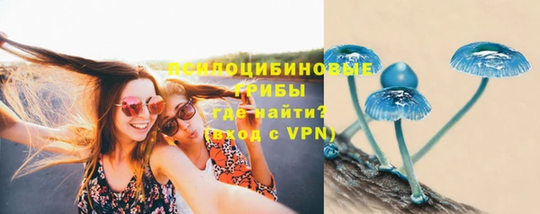 хмурый Гусь-Хрустальный
