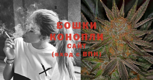 хмурый Гусь-Хрустальный