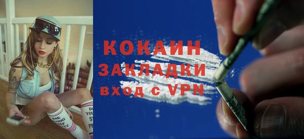 хмурый Гусь-Хрустальный