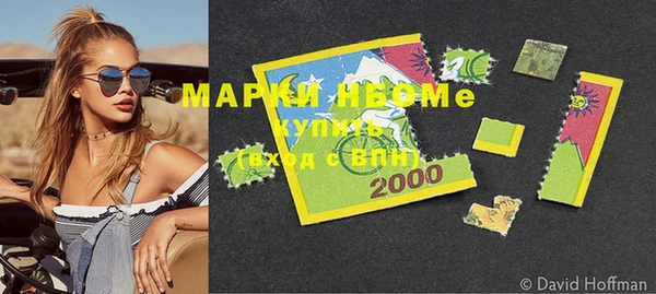хмурый Гусь-Хрустальный