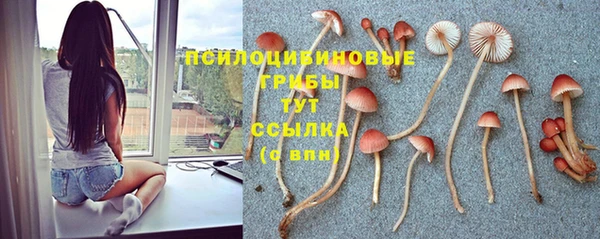 мдма Гусев