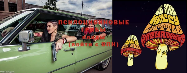 мдма Гусев