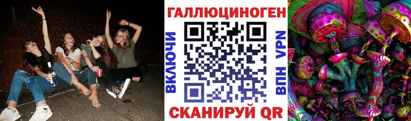 Купить где Зуевка Галлюциногенные грибы Psilocybe